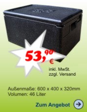 Thermobox GN 1/1 257mm