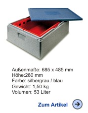 Thermobox Allround 200 blau / grau