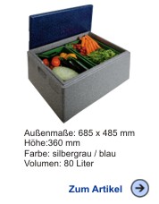 Thermobox Allround 300 blau / grau