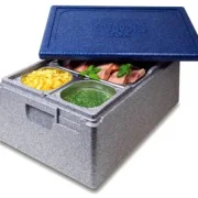 Thermobox 1/1 Gastronorm 257mm silbergrau / blau