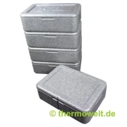 Thermobox Dinner-Box