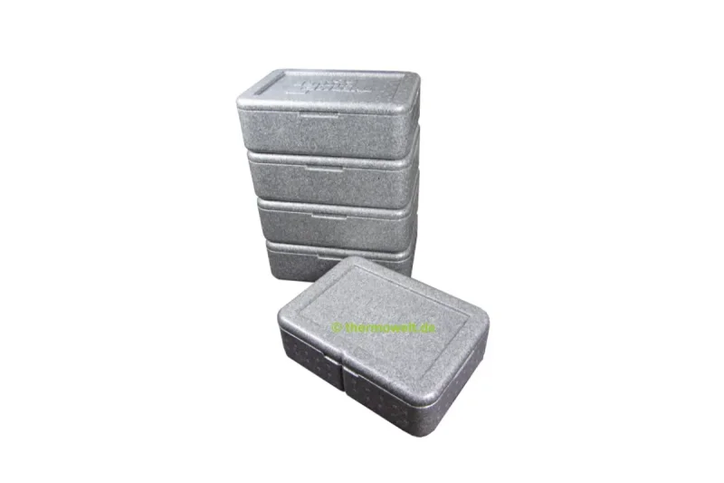 Dinner-Box Komplettset ( Thermo Lunchbox )